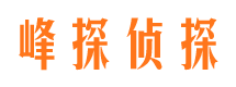 东兴区市侦探公司